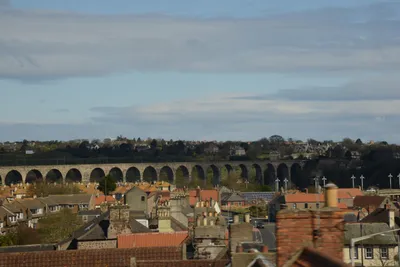 DSC_7237 (Large).JPG